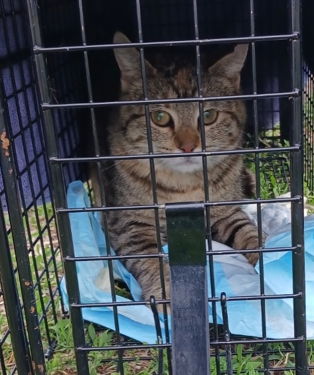 434868603_17916243062911894_5348107802832344529_n